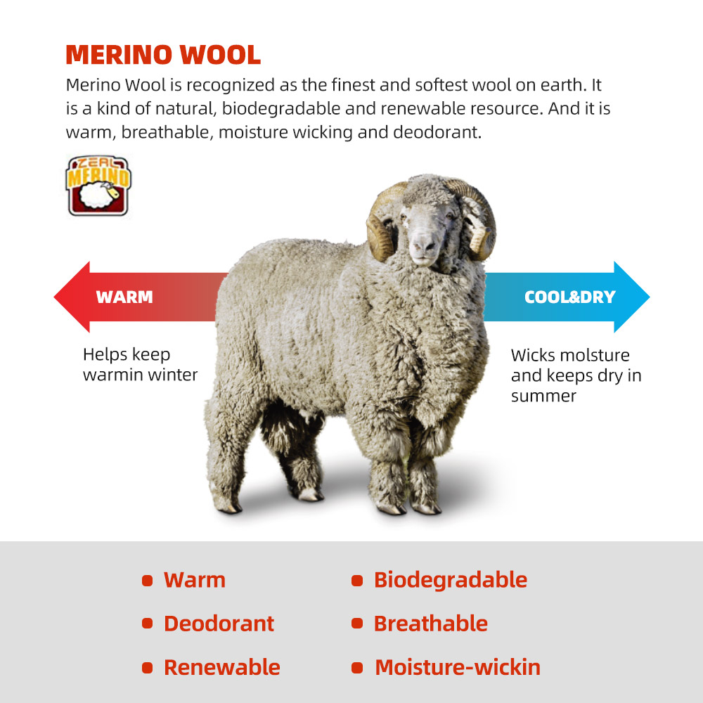 ZEALWOOD Merino kaus kaki pria - Wool Hiking Sock ulasan dan harga